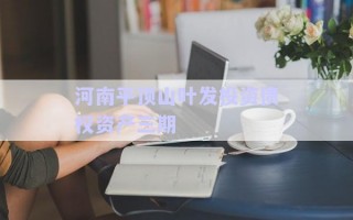 河南平頂山葉發(fā)投資債權資產(chǎn)三期