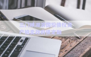 三門峽湖濱國(guó)投債權(quán)資產(chǎn)拍賣政府債定融