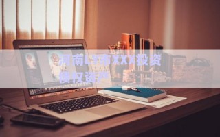 河南LY市XXX投資債權資產