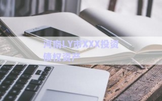 河南LY市XXX投資債權資產