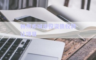 林州市城市投資債權(quán)轉(zhuǎn)讓項目
