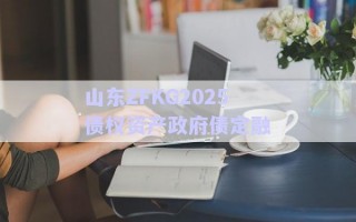 山東ZFKG2025債權資產政府債定融 山東ZFKG2025債權資產政府債定融