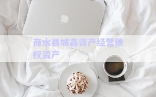商水縣城鑫資產(chǎn)經(jīng)營債權(quán)資產(chǎn) 商水縣城鑫資產(chǎn)經(jīng)營債權(quán)資產(chǎn)