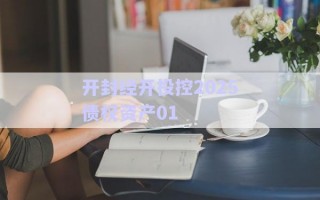 開封經(jīng)開投控2025債權(quán)資產(chǎn)01 開封經(jīng)開投控2025債權(quán)資產(chǎn)01