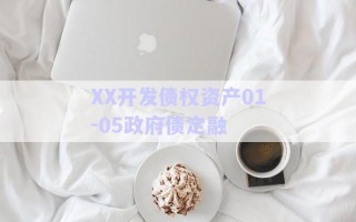 XX開發(fā)債權資產(chǎn)01-05政府債定融