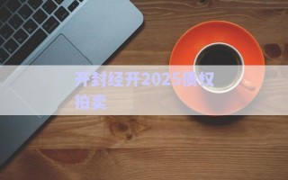 開(kāi)封經(jīng)開(kāi)2025債權(quán)拍賣(mài)