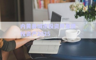 內(nèi)黃縣城市投資開發(fā)債權資產(chǎn)2025