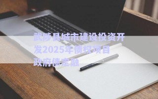 武陟縣城市建設投資開發(fā)2025年債權項目政府債定融