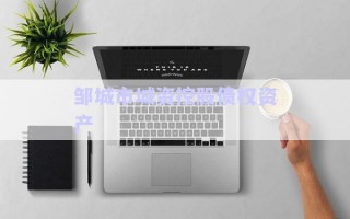 鄒城市城資控股債權資產(chǎn)