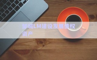 鄒城LM建設發(fā)展債權(quán)資產(chǎn)