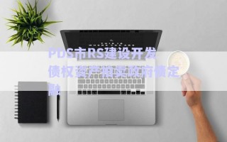 PDS市RS建設(shè)開(kāi)發(fā)債權(quán)資產(chǎn)拍賣政府債定融