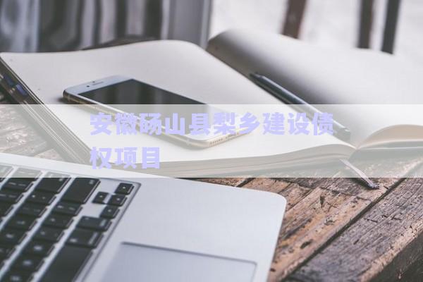 安徽碭山縣梨鄉(xiāng)建設債權(quán)項目-第1張圖片-政信固收網(wǎng)