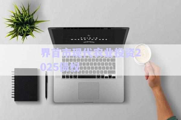界首市現(xiàn)代農(nóng)業(yè)投資2025債權-第1張圖片-政信固收網(wǎng)