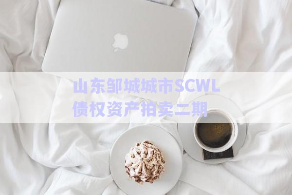 山東鄒城城市SCWL債權資產(chǎn)拍賣二期-第1張圖片-政信固收網(wǎng)