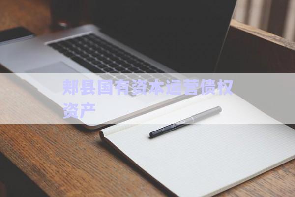 郟縣國有資本運營債權(quán)資產(chǎn)-第1張圖片-政信固收網(wǎng)