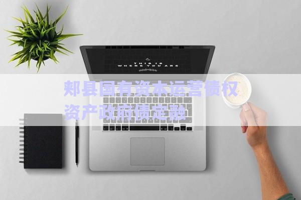 郟縣國有資本運營債權(quán)資產(chǎn)政府債定融-第1張圖片-政信固收網(wǎng)
