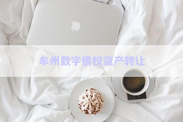牟州數(shù)字債權資產轉讓-第1張圖片-政信固收網(wǎng)