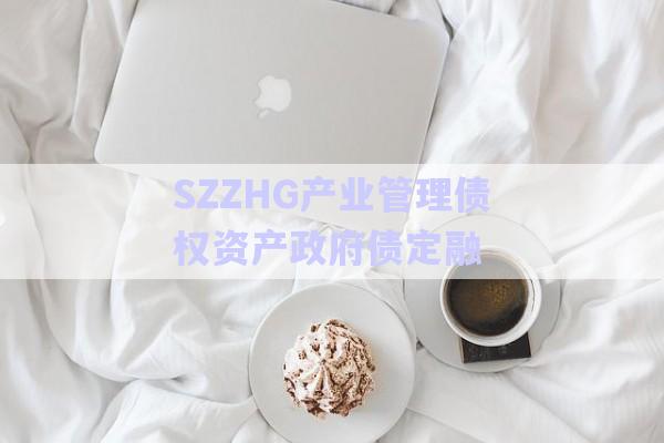 SZZHG產(chǎn)業(yè)管理債權(quán)資產(chǎn)政府債定融-第1張圖片-政信固收網(wǎng)